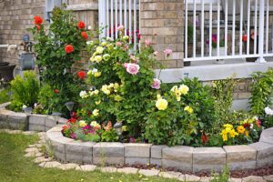 Making your yard beautiful with flowers